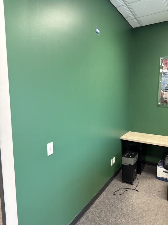 Office accent wall (commercial)